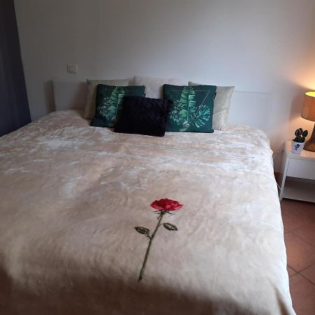 Logement Calme Et Agreable A Proximite D'Ajaccio Canale Cabanes Exterior foto